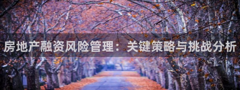 和记集团官网：房地产融资风险管理：关键策略与挑战分析