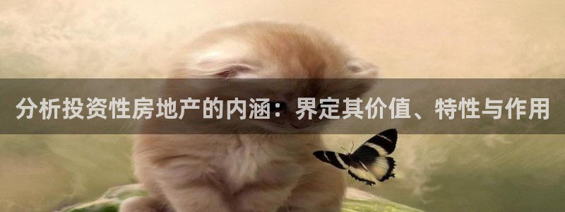 和记网站官网：分析投资性房地产的内涵：界定其价值、特性与作用