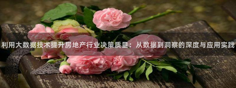 和记娱乐app官网登录：利用大数据技术提升房地产行业决策质量