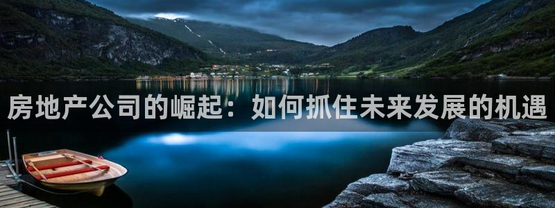 和记娱哪个位置h88285官网：房地产公司的崛起：如何抓住未