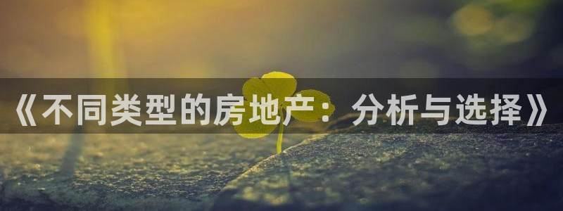 3g和记官网：《不同类型的房地产：分析与选择》