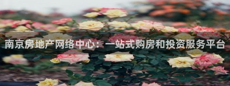 和记安徽快3官网开户：南京房地产网络中心：一站式购房和投资服
