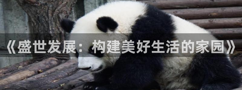 和记平台官网：《盛世发展：构建美好生活的家园》