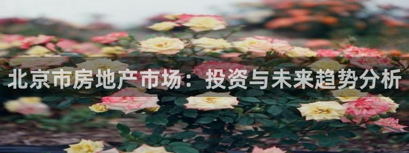 和记官网和记：北京市房地产市场：投资与未来趋势分析