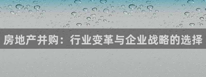 和记怡情官网电话：房地产并购：行业变革与企业战略的选择