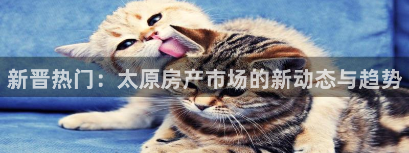 和记官网手机版下载：新晋热门：太原房产市场的新动态与趋势