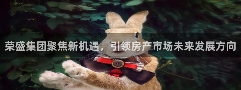 和记官网客户端：荣盛集团聚焦新机遇，引领房产市场未来发展方向