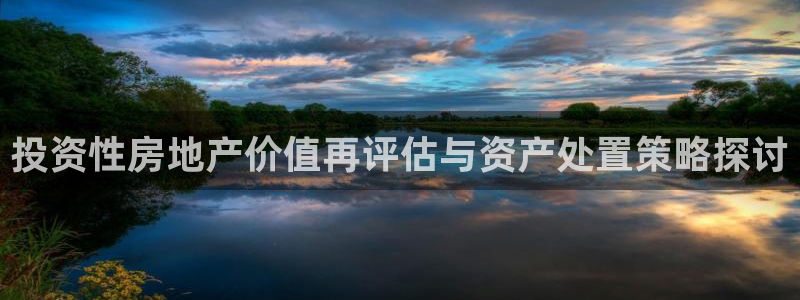 和记黄埔中药公司官网：投资性房地产价值再评估与资产处置策略探