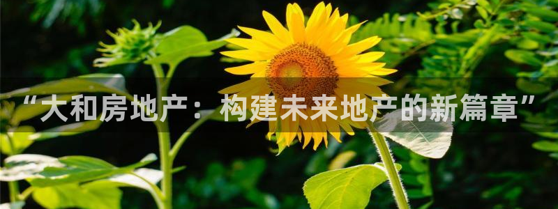 h88和记官网登录：“大和房地产：构建未来地产的新篇章”