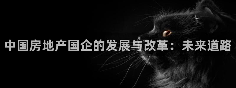 和记娱乐h8官网：中国房地产国企的发展与改革：未来道路