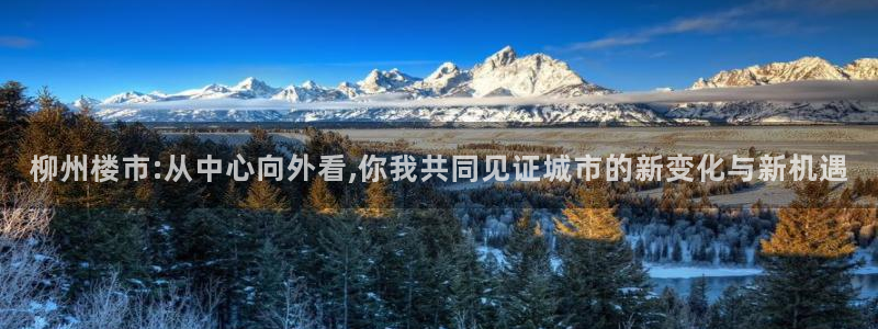 和记娱乐怡情官网：柳州楼市:从中心向外看,你我共同见证城市的