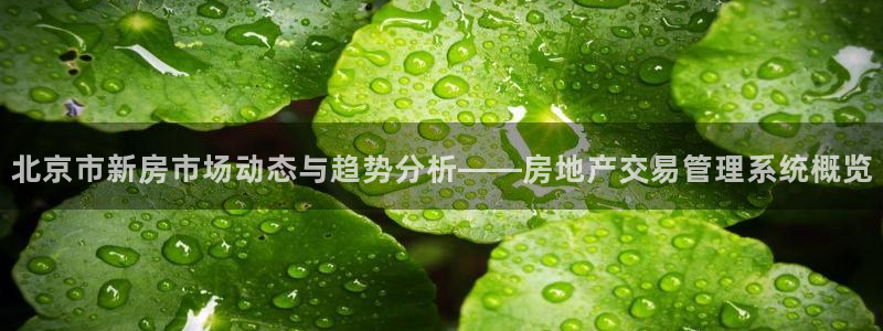 和记娱就问h88285官网：北京市新房市场动态与趋势分析——