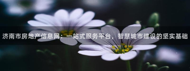 和记官网开户