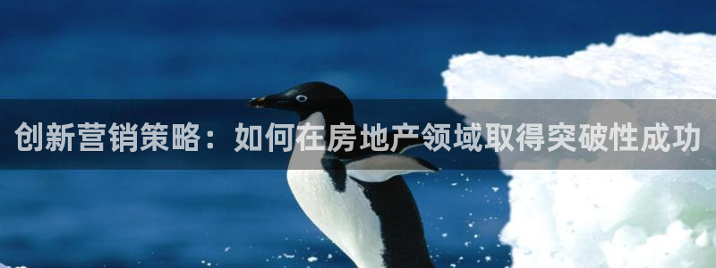 和记娱乐平台官网：创新营销策略：如何在房地产领域取得突破性成