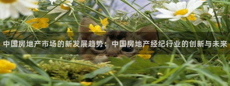 和记3卡官网是哪