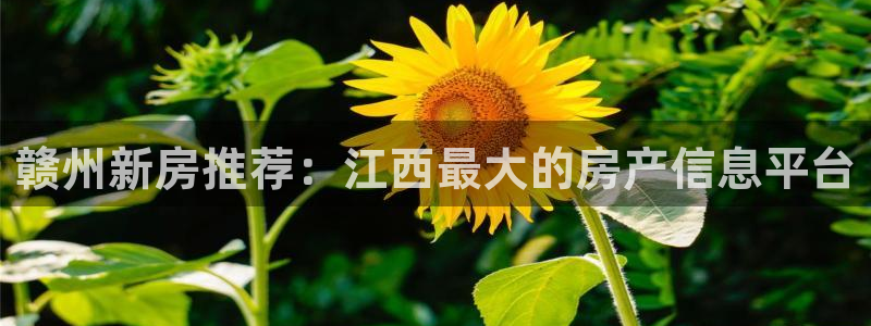 澳门和记平台官网：赣州新房推荐：江西最大的房产信息平台