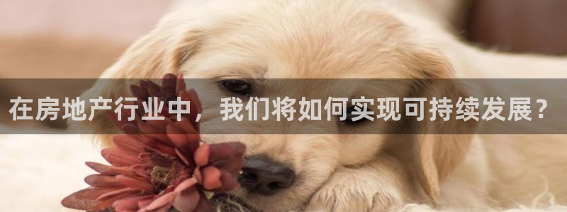 官网和记通讯：在房地产行业中，我们将如何实现可持续发展？