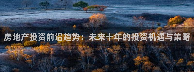 三宇和记官网：房地产投资前沿趋势：未来十年的投资机遇与策略