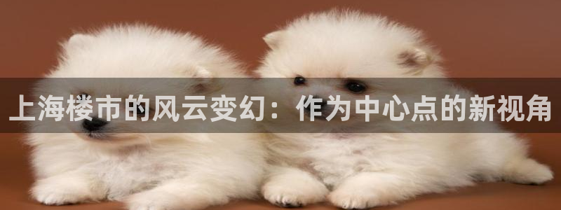 香港3和记官网：上海楼市的风云变幻：作为中心点的新视角