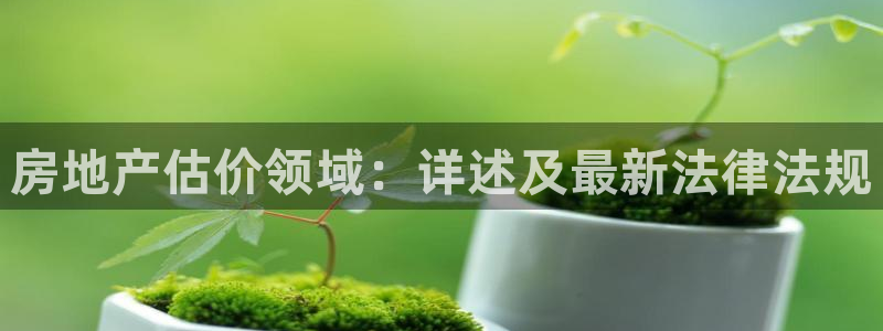 和记娱精湛h88285官网：房地产估价领域：详述及最新法律法