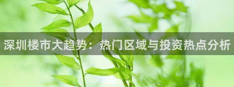 和记娱乐网官网：深圳楼市大趋势：热门区域与投资热点分析