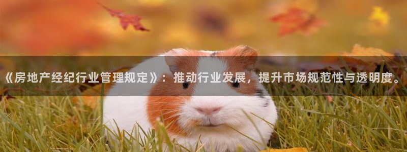 和记黄埔官网攻略：《房地产经纪行业管理规定》：推动行业发展，