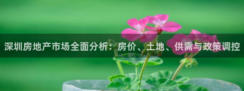 胡和记面官网：深圳房地产市场全面分析：房价、土地、供需与政策