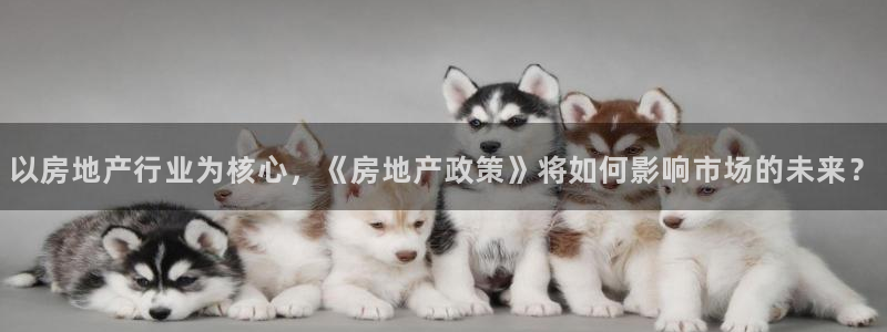 和记娱乐app官网登录：以房地产行业为核心，《房地产政策》将