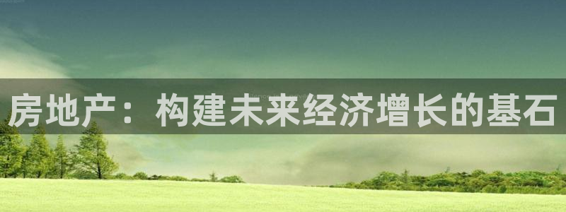 和记官网进入：房地产：构建未来经济增长的基石