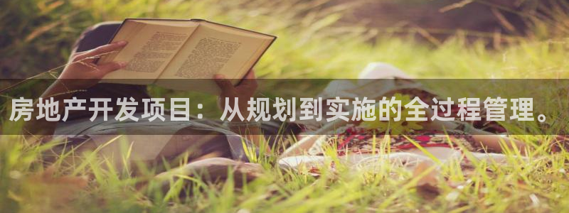 和记黄埔官网教育：房地产开发项目：从规划到实施的全过程管理。