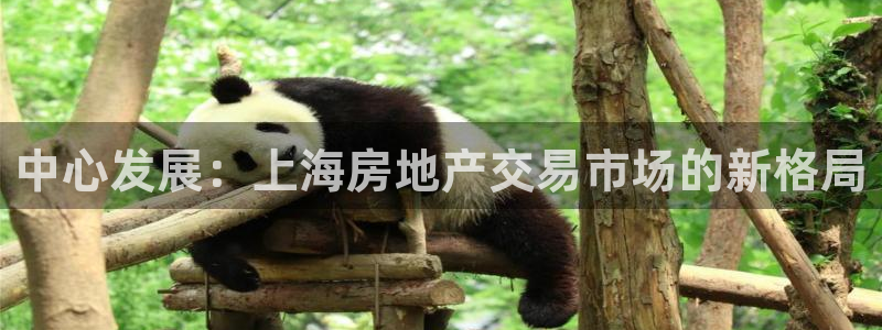 和记电信官网：中心发展：上海房地产交易市场的新格局