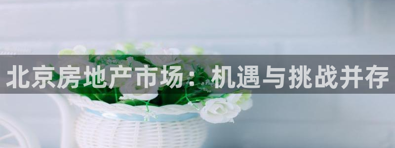 和记国际官网官网：北京房地产市场：机遇与挑战并存